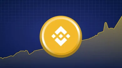 Current BNB Coin Price What You Need to Know